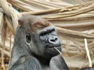 Familienfreundliche Aktivitäten in London: Ein umfassender Leitfaden