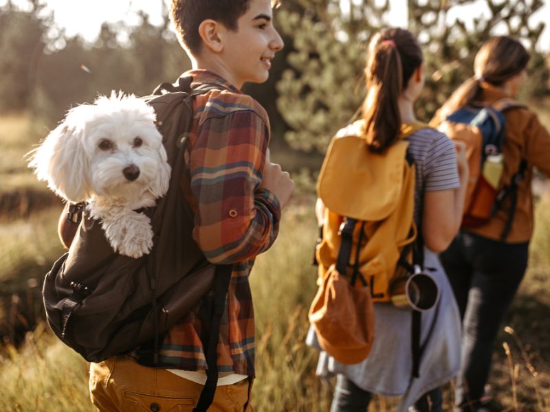 Wandern im Familienurlaub: Ein Abenteuer für Groß und Klein